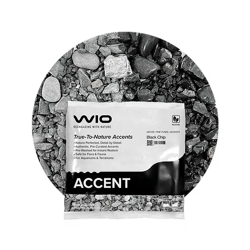 WIO Black Accent
