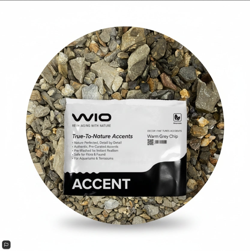 WIO Warm Grey Accent 750gms