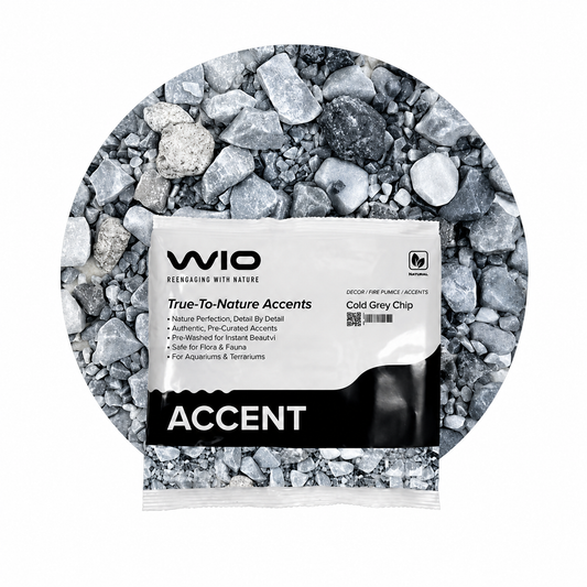 WIO Cold Grey Accent(750gms)
