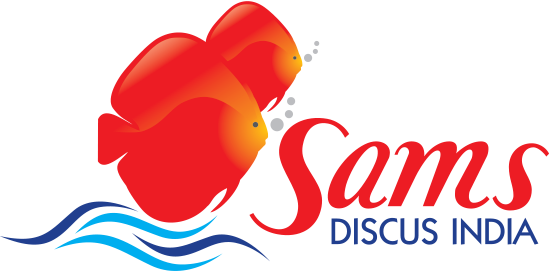 Sams discus india