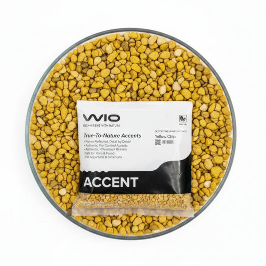 WIO Yellow Accent(750gms)