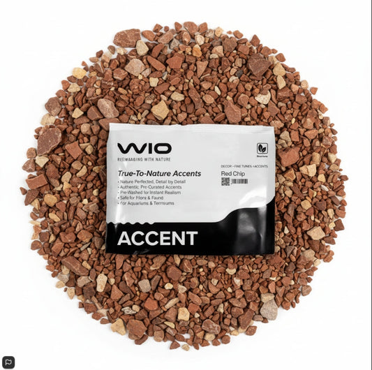 WIO Red Accent( 750gms)