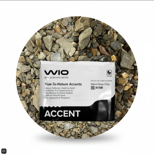 WIO Warm Grey Accent 750gms