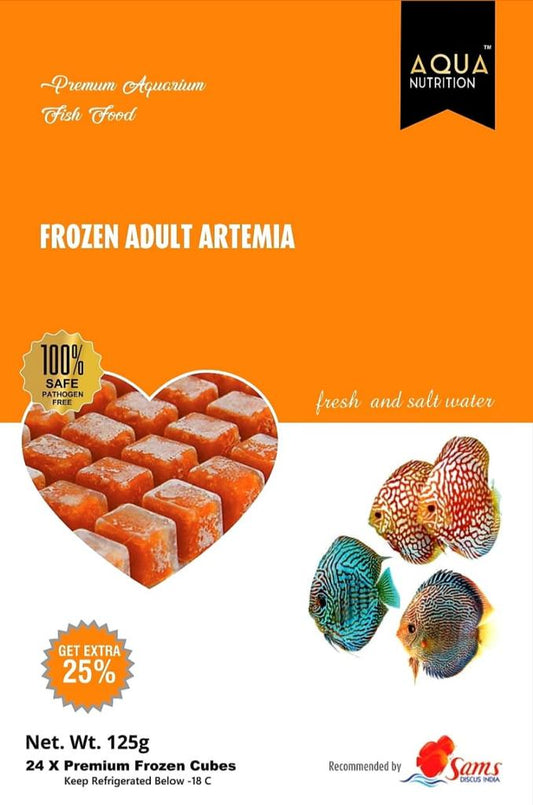 Adult artemia